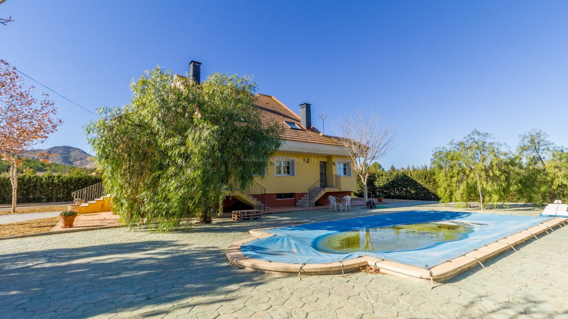 Villa in Yecla Centro