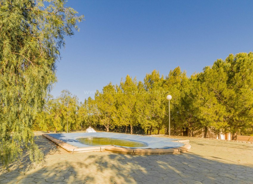 Villa in Yecla Centro