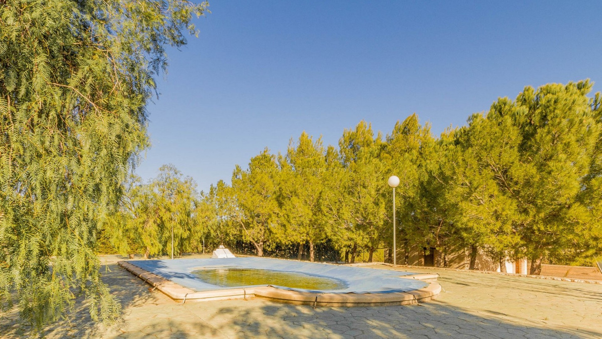 Villa in Yecla Centro