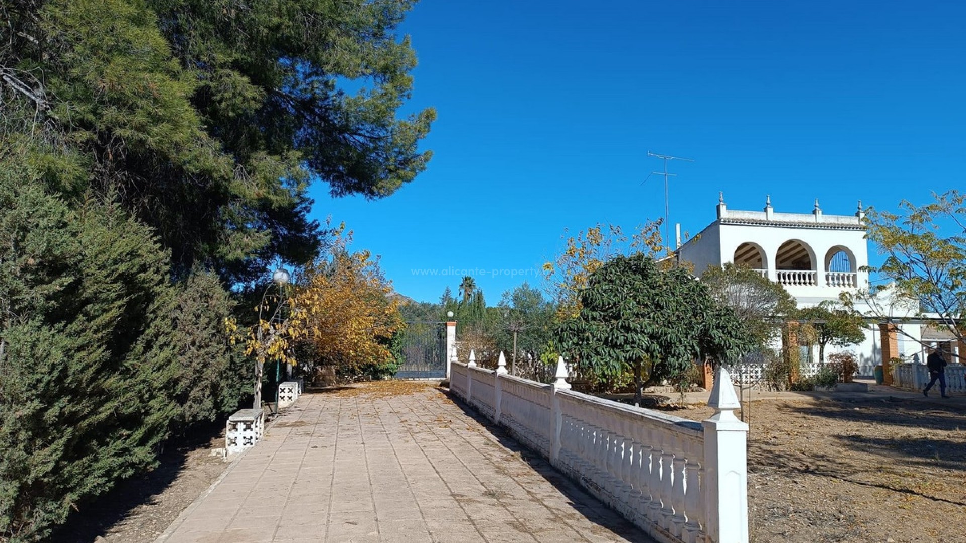 Villa in Yecla Centro