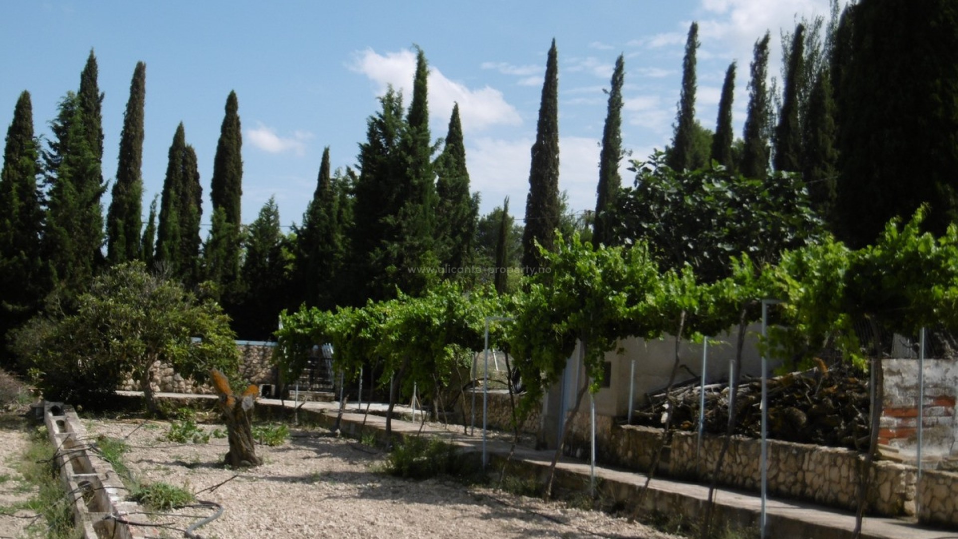 Villa in Yecla Centro