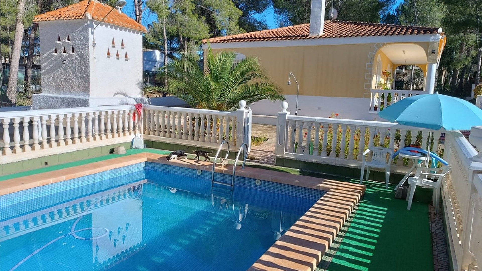 Villa in Yecla Centro