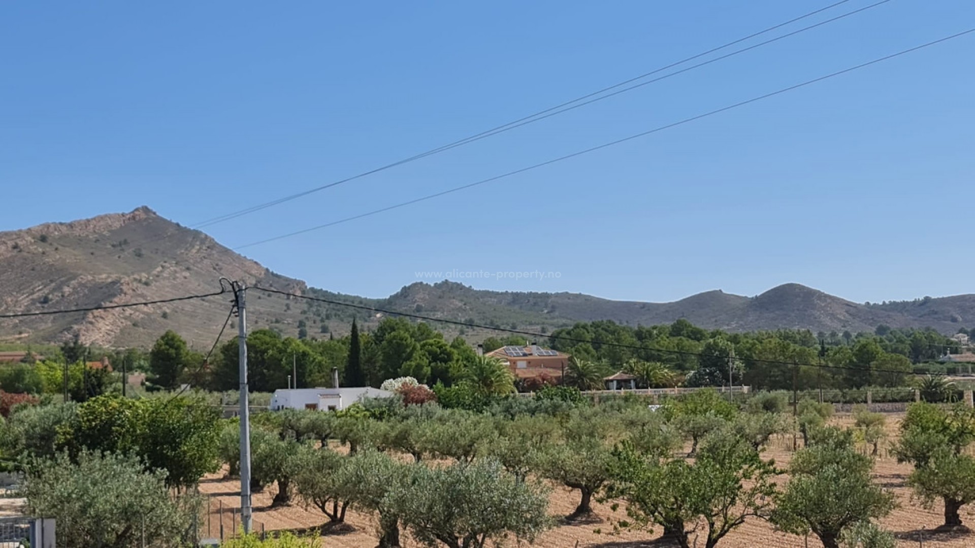 Villa in Yecla Centro