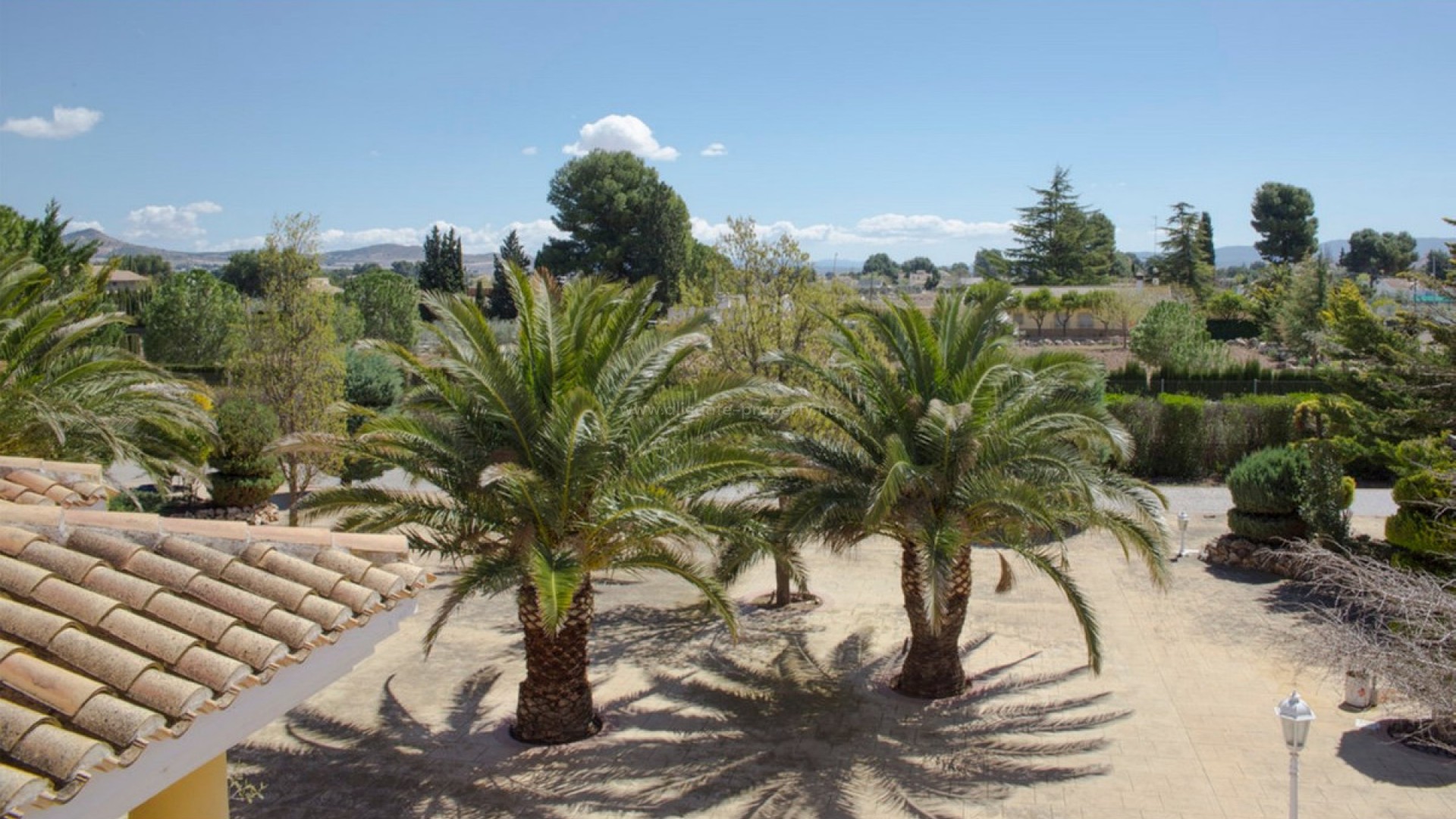 Villa in Yecla Centro