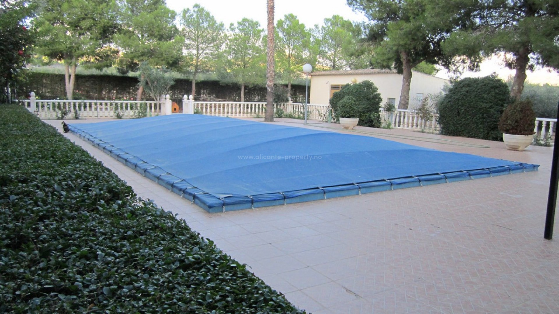 Villa in Yecla Centro