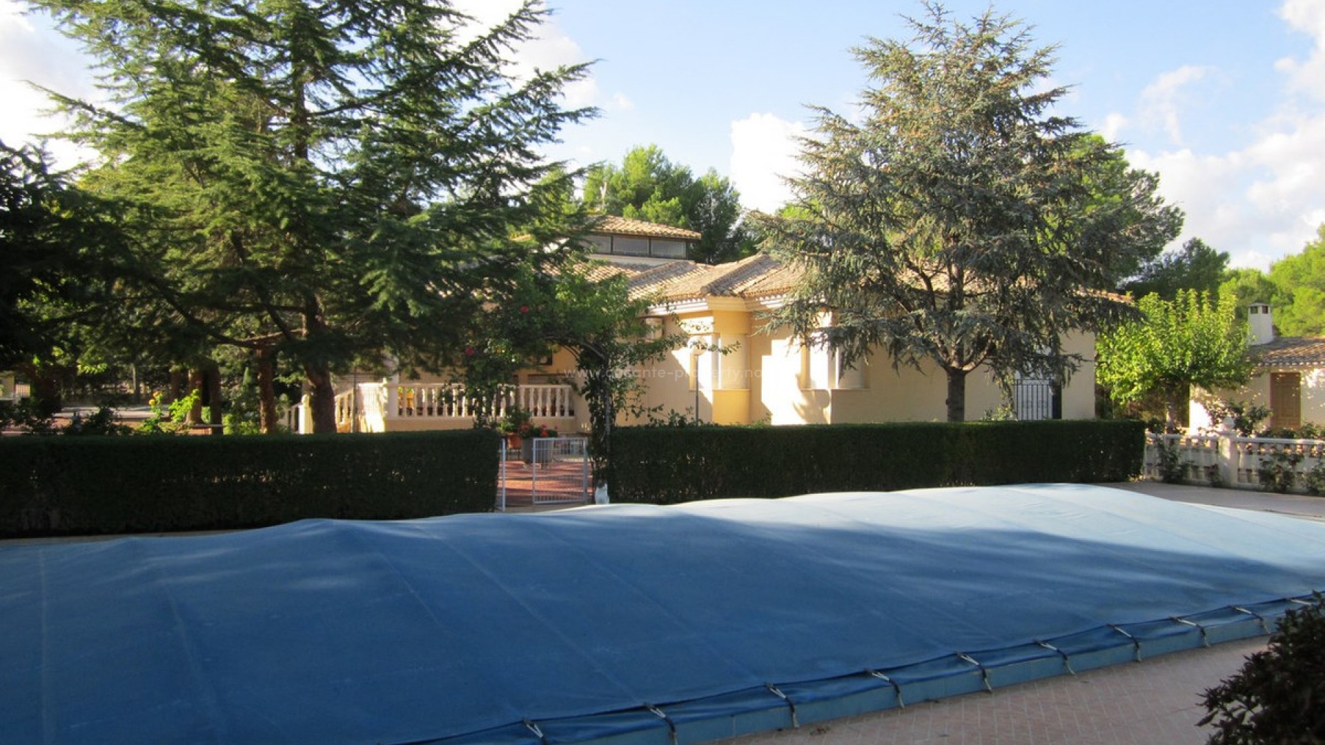 Villa in Yecla Centro