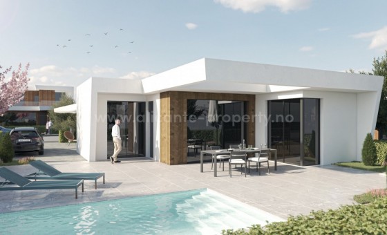 Villa - New Build - Baños y Mendigos - NBG-24655