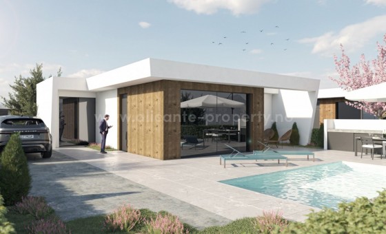 Villa - New Build - Baños y Mendigos - NBG-24683