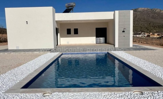 Villa - New Build - Jumilla - NBG-46015