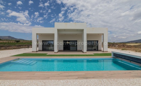 Villa - New Build - PINOSO - Campo