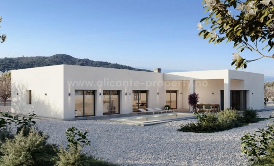 Villa - New Build - PINOSO - Campo