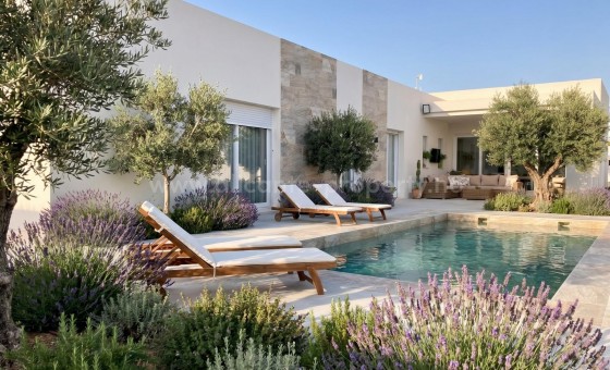 Villa - New Build - PINOSO - Casas Pastor