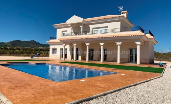 Villa - New Build - PINOSO - NBG-64461