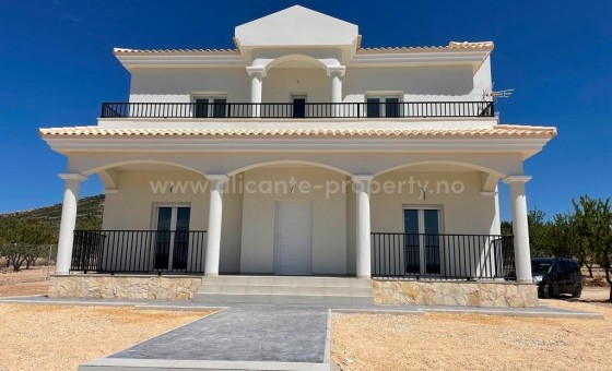 Villa - New Build - PINOSO - NBG-77575