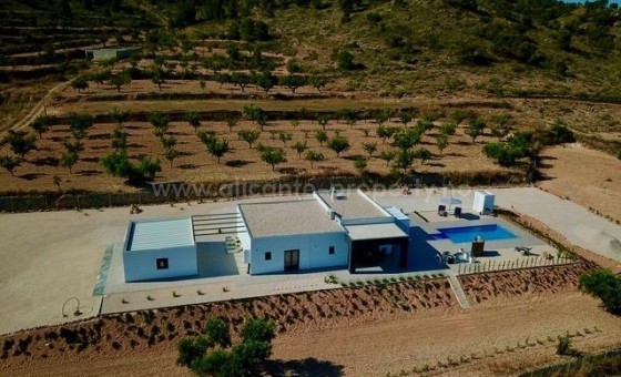 Villa - Nueva construcción  - Abanilla - Cañada de la Leña