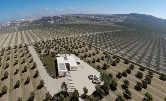 Villa - Nueva construcción  - Algorfa - Algorfa