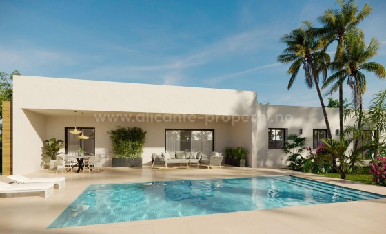 Villa - Nueva construcción  - Aspe - Poligono 19