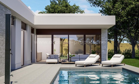 Villa - Nueva construcción  - PINOSO - Lel