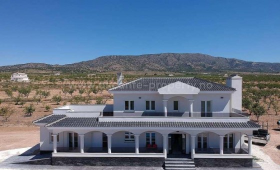 Villa - Nueva construcción  - PINOSO - NBG-51060