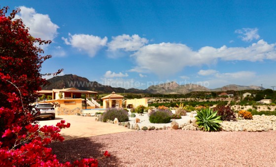 Villa - Resale - Albatera - Albatera Centro