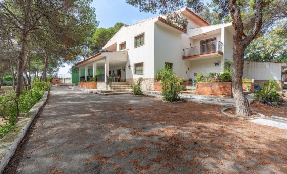 Villa - Resale - Alicante - Alicante Centro