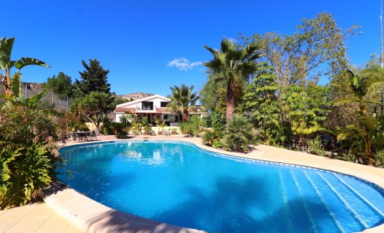 Villa - Resale - Aspe - Aspe Centro