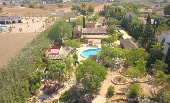Villa - Resale - Catral -
                Catral Centro
