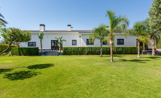 Villa - Resale - Elche - Elche