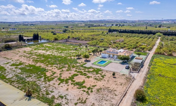 Villa - Resale - Los Montesinos - Los Montesinos
