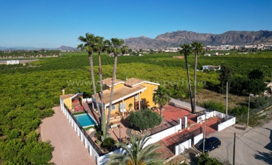 Villa - Resale - Orihuela - Orihuela Centro