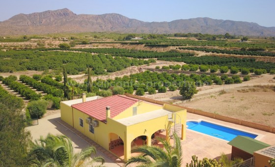 Villa - Reventa - Albatera - Albatera Centro