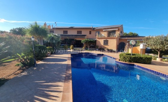 Villa - Reventa - Pedreguer - Pedreguer Centro