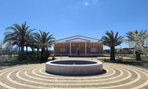 Villa - Reventa - PINOSO - Pinoso Centro