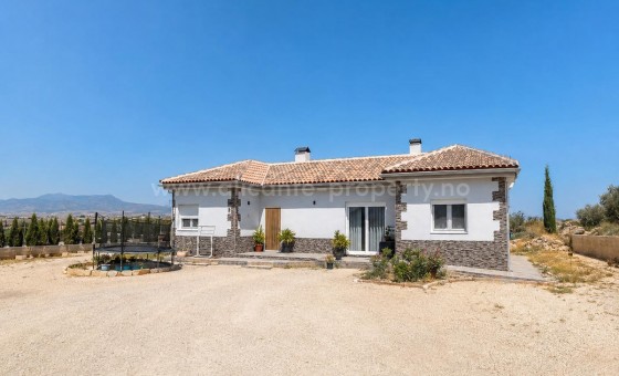 Villa - Reventa - PINOSO - Pinoso Centro