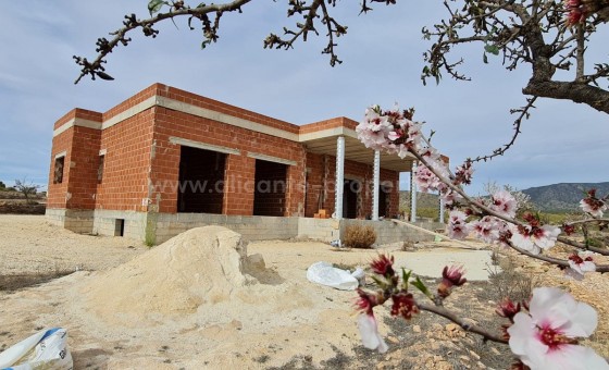 Villa - Reventa - PINOSO - Pinoso Centro