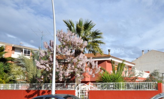 Villa - Reventa - Sax - Sax Centro