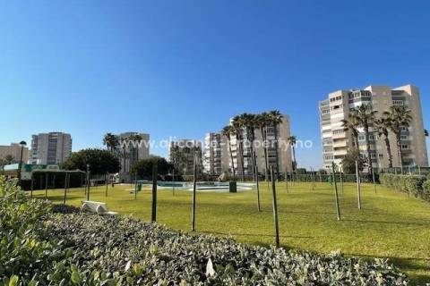 Urbanova