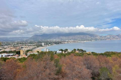 Albir