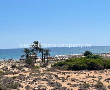 Los Arenales is a pleasant little coastal town with apartments and houses close to a fantastic fine sandy beach. The town is almost within walking distance of both the airport and Alicante city. 