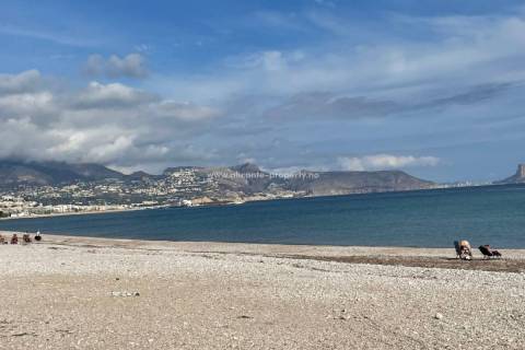Albir