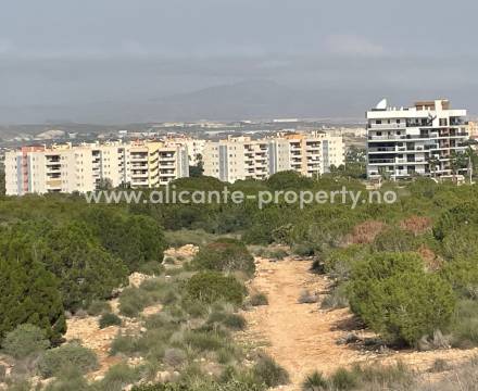 Los Arenales is a pleasant little coastal town with apartments and houses close to a fantastic fine sandy beach. The town is almost within walking distance of both the airport and Alicante city. 