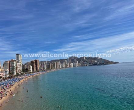 Apartments and housing in Benidorm can be more lively and lively than other cities. The area around the city has a wealth of different activities for both children and adults