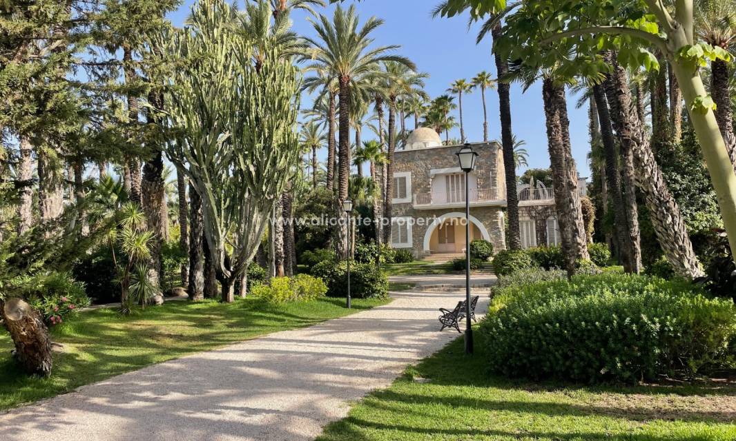 Elche mer enn en palmeby - leiligheter/rekkehus i byen, finca/villa/hus på landet, eksklusive strand-boliger. Alle typer boliger i mange forskjellige prisklasser finner man i Elche nær by, land eller vann. Nær flyplassen i provinsen som ligger i Elche.