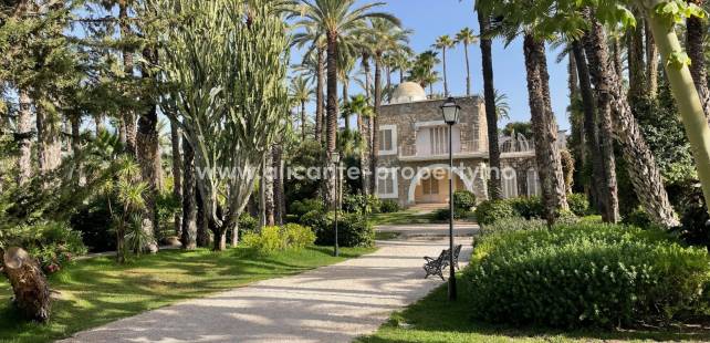 Elche more than a palm town - city, land and water