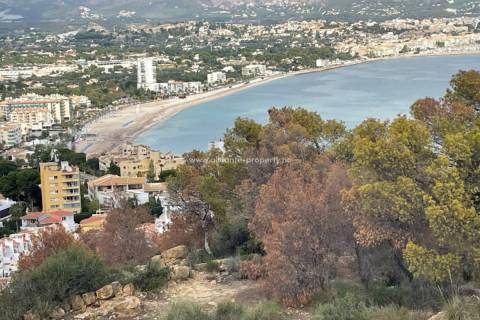 Albir