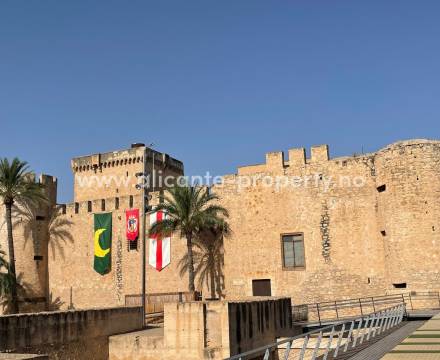 Elche mer enn en palmeby - leiligheter/rekkehus i byen, finca/villa/hus på landet, eksklusive strand-boliger. Alle typer boliger i mange forskjellige prisklasser finner man i Elche nær by, land eller vann. Nær flyplassen i provinsen som ligger i Elche.