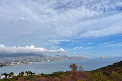 Albir