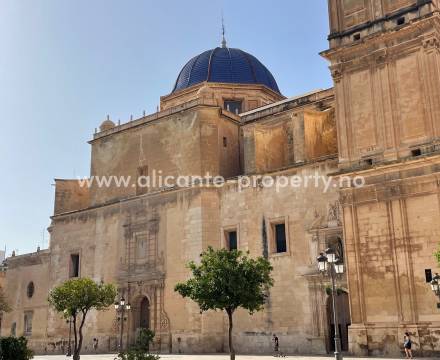 Elche mer enn en palmeby - leiligheter/rekkehus i byen, finca/villa/hus på landet, eksklusive strand-boliger. Alle typer boliger i mange forskjellige prisklasser finner man i Elche nær by, land eller vann. Nær flyplassen i provinsen som ligger i Elche.