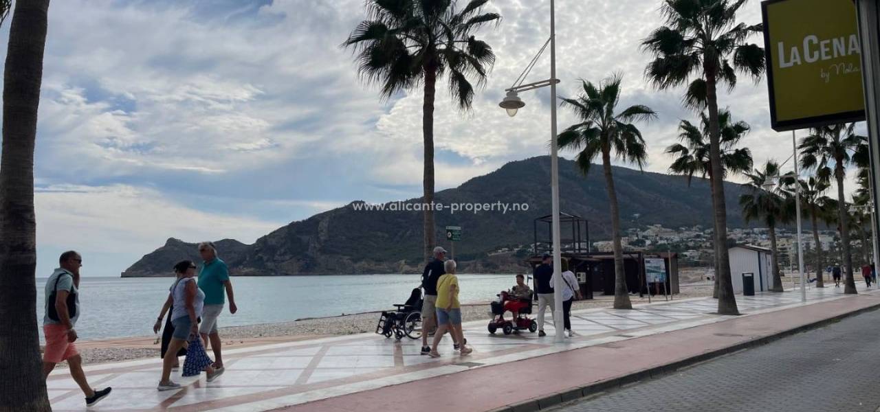 Albir