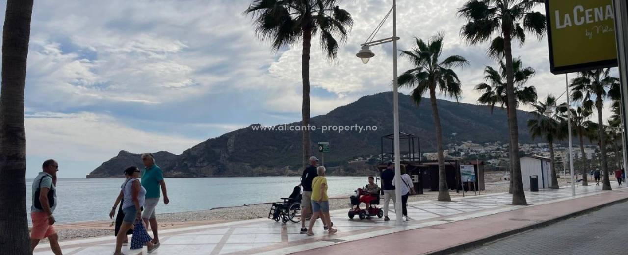 Albir